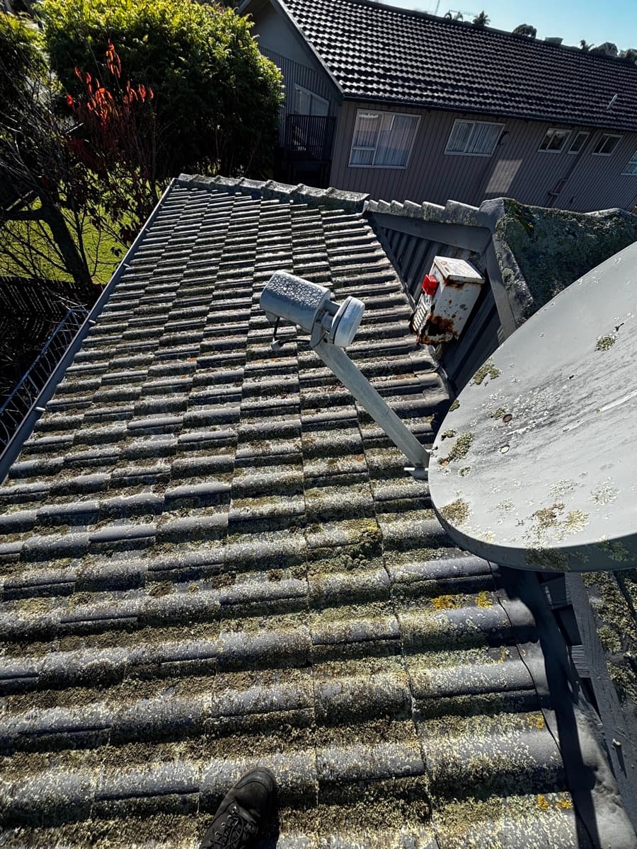 A heavily moss-covered concrete tile roof in Auckland before restoration begins.