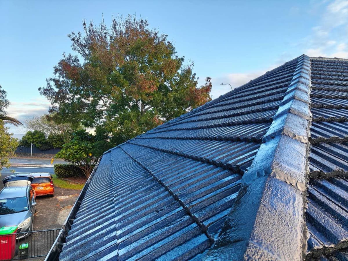 Freshly coated dark grey tile roof in suburban Auckland, autumn trees in the background