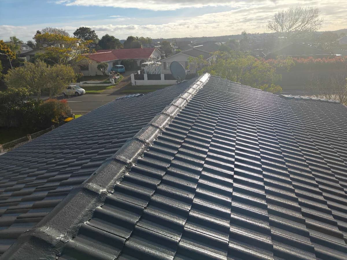 Dark grey freshly painted tile roof overlooking an Auckland neighbourhood and harbour
